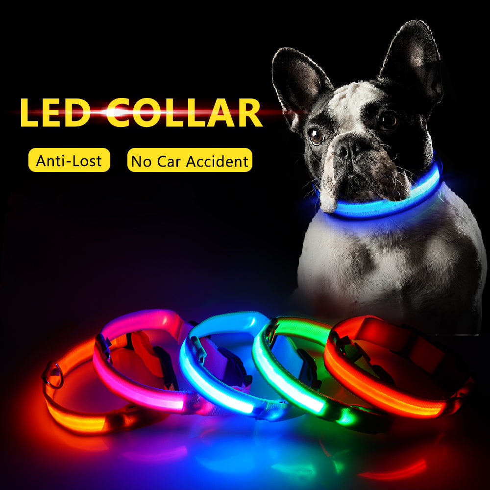 Anti-Lost USB Charging Led Dog Collar