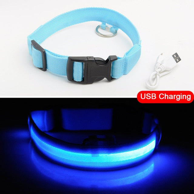 Anti-Lost USB Charging Led Dog Collar