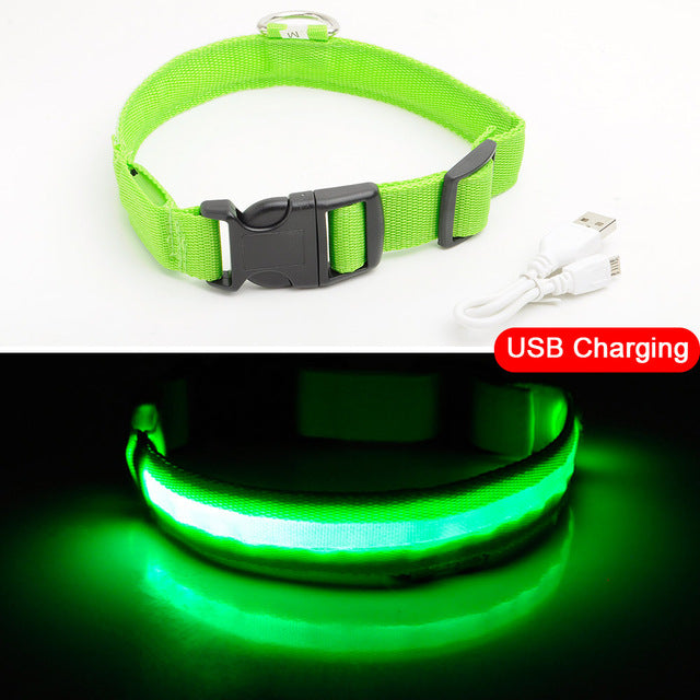 Anti-Lost USB Charging Led Dog Collar