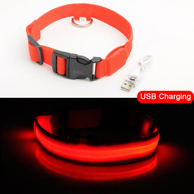 Anti-Lost USB Charging Led Dog Collar