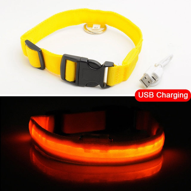 Anti-Lost USB Charging Led Dog Collar