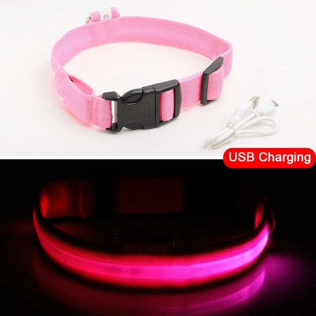 Anti-Lost USB Charging Led Dog Collar