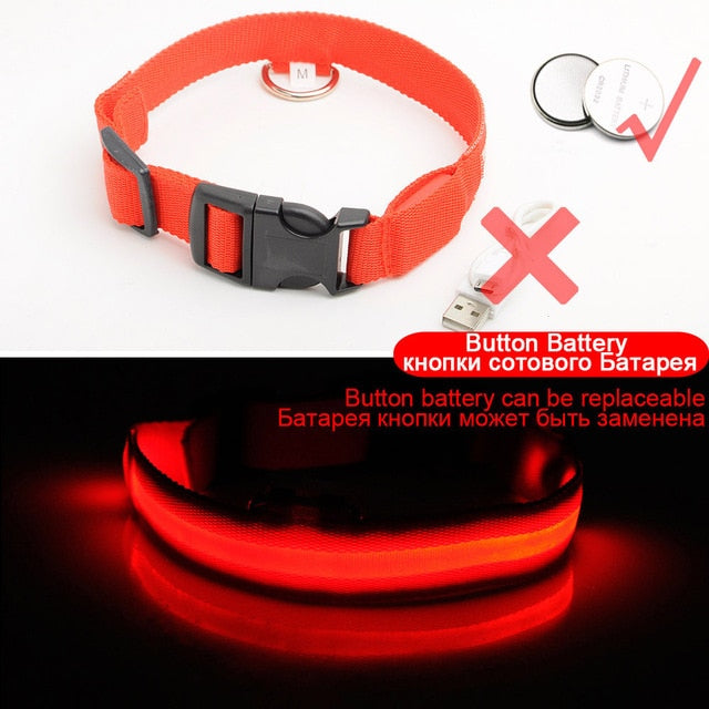 Anti-Lost USB Charging Led Dog Collar