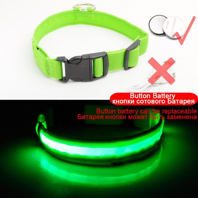 Anti-Lost USB Charging Led Dog Collar