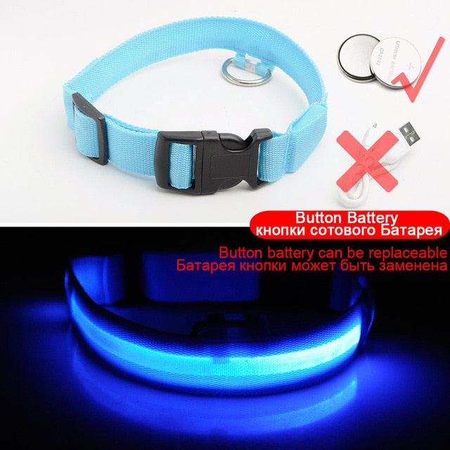 Anti-Lost USB Charging Led Dog Collar