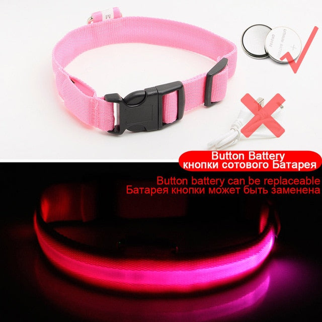 Anti-Lost USB Charging Led Dog Collar