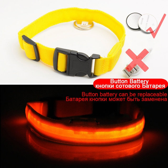 Anti-Lost USB Charging Led Dog Collar